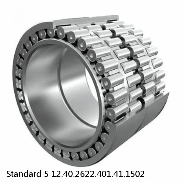 12.40.2622.401.41.1502 Standard 5 Slewing Ring Bearings