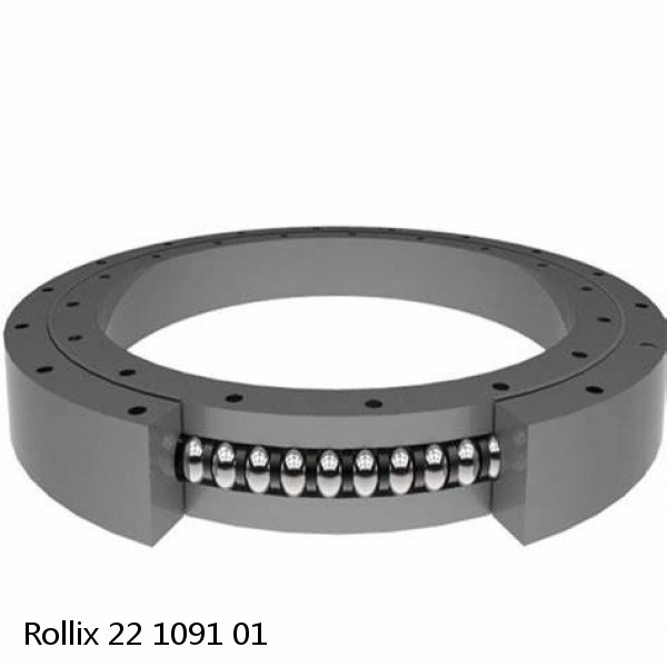22 1091 01 Rollix Slewing Ring Bearings