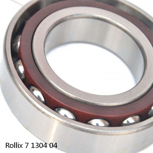 7 1304 04 Rollix Slewing Ring Bearings