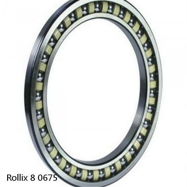 8 0675 Rollix Slewing Ring Bearings #1 small image