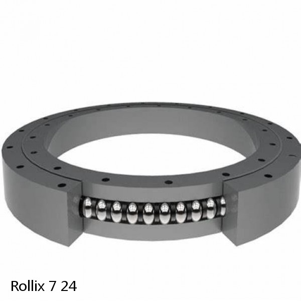 7 24 Rollix Slewing Ring Bearings #1 small image