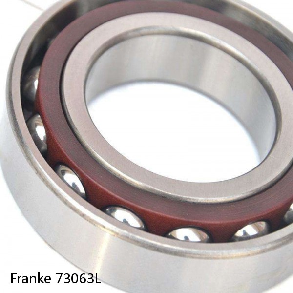 73063L Franke Slewing Ring Bearings