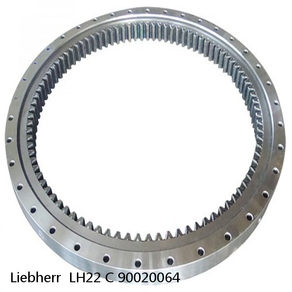 90020064 Liebherr  LH22 C Slewing Ring #1 small image