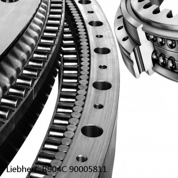 90005811 Liebherr  R904C Slewing Ring #1 image