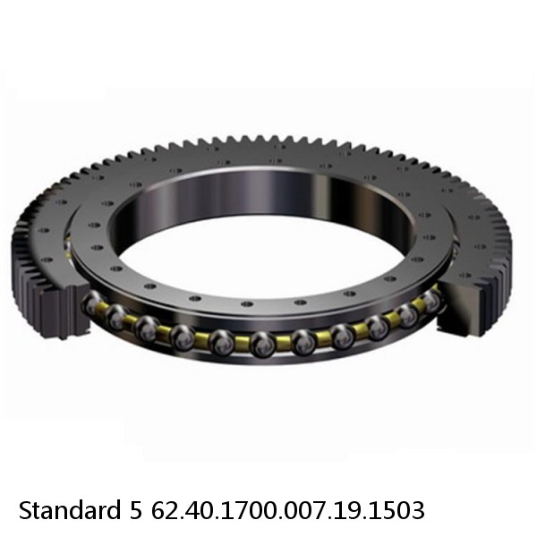 62.40.1700.007.19.1503 Standard 5 Slewing Ring Bearings #1 image