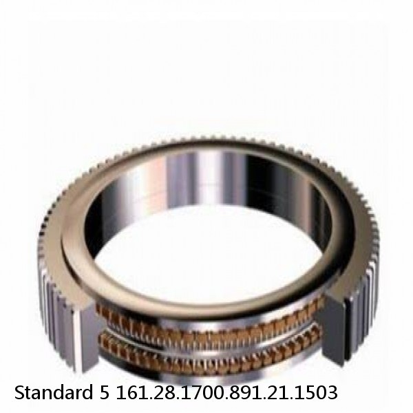 161.28.1700.891.21.1503 Standard 5 Slewing Ring Bearings #1 image