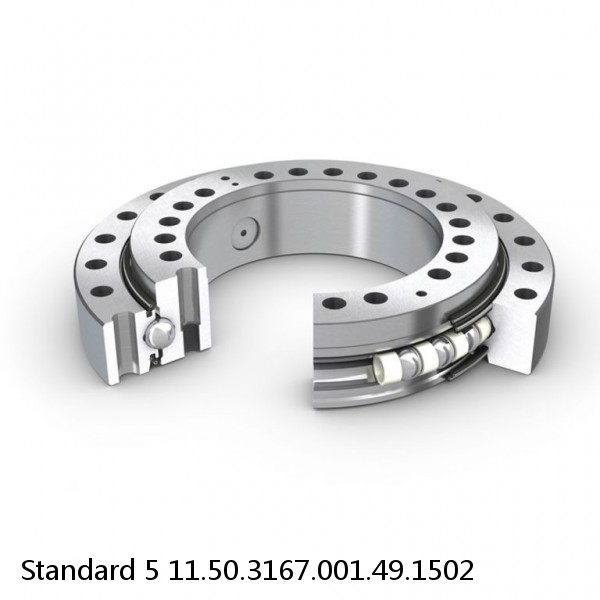 11.50.3167.001.49.1502 Standard 5 Slewing Ring Bearings #1 image