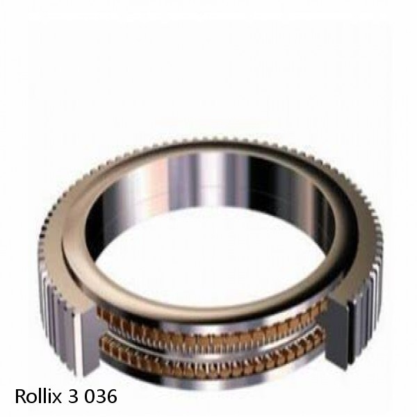 3 036 Rollix Slewing Ring Bearings #1 image