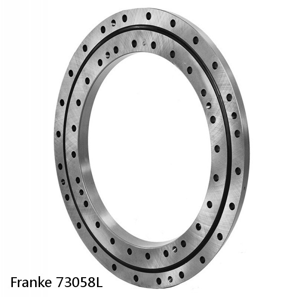 73058L Franke Slewing Ring Bearings #1 image