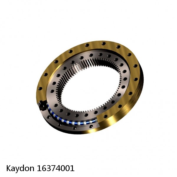 16374001 Kaydon Slewing Ring Bearings #1 image
