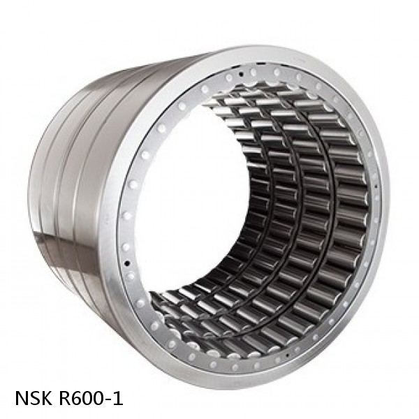 R600-1 NSK CYLINDRICAL ROLLER BEARING #1 image